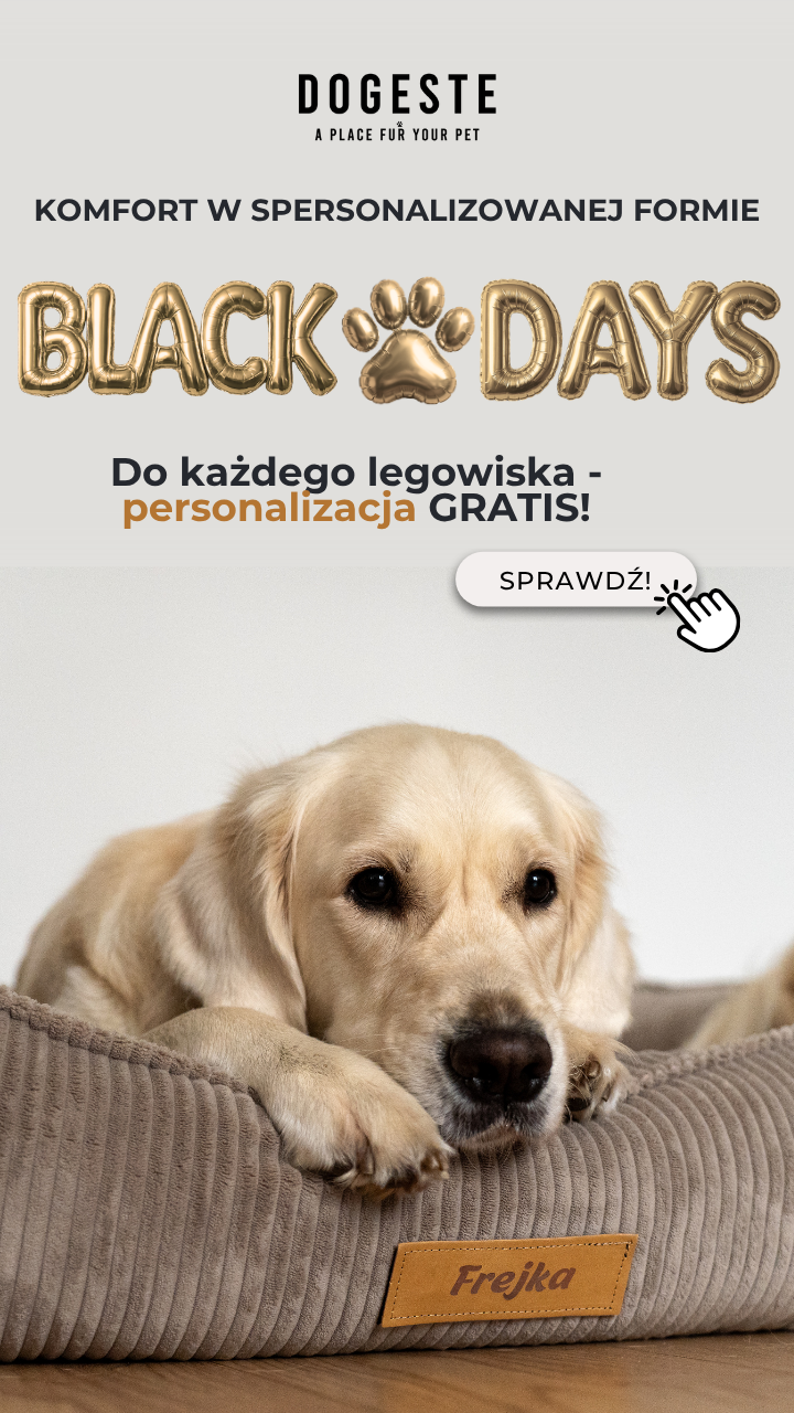 BLACK DAYS LEGOWISKA