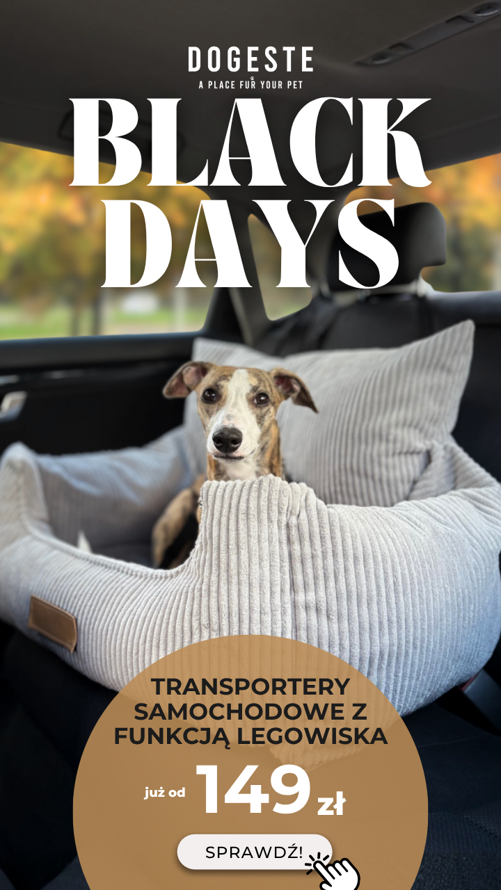 BLACK DAYS TRANSPORTERY