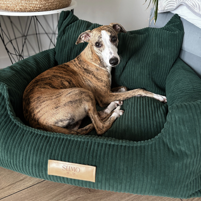 Fotelik samochodowy i legowisko 2w1 dla dużego psa - butelkowa zieleń