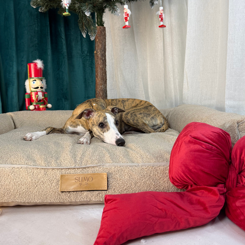 Legowisko dla psa z personalizacją XXL - baranek ciemny beż