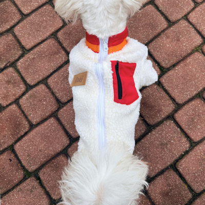 Ubranko kurtka dla psa Baranek czerwony