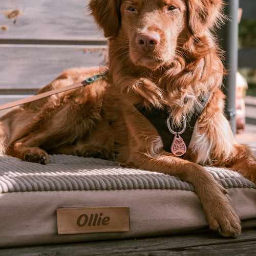 Personalizowany materac ortopedyczny dla psa Dogeste XXL 