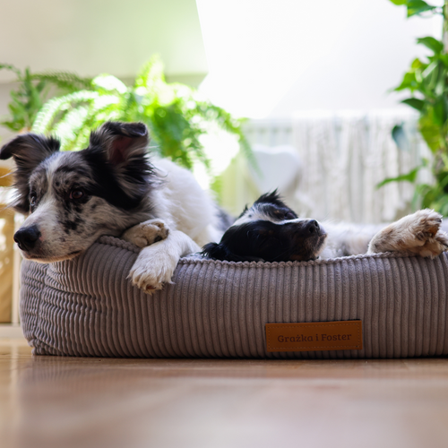 Personalizowane legowisko ortopedyczne dla psa Dogeste XXL szary sztruks