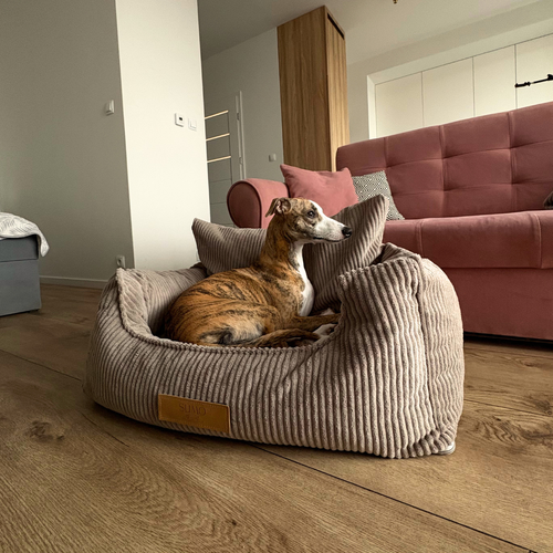 Fotelik samochodowy i legowisko 2w1 dla dużego psa - sztruks beżowy