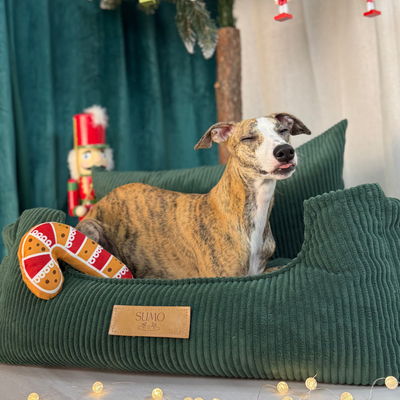 Fotelik samochodowy i legowisko 2w1 dla dużego psa - butelkowa zieleń