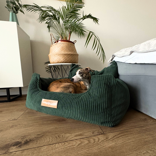 Fotelik samochodowy i legowisko 2w1 dla dużego psa - butelkowa zieleń