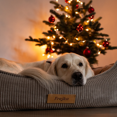 Personalizowane legowisko ortopedyczne dla psa Dogeste XXL szary sztruks