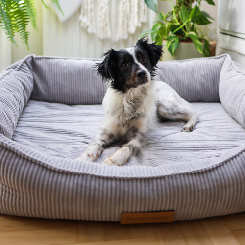 Personalizowane legowisko ortopedyczne dla psa Dogeste XXL szary sztruks