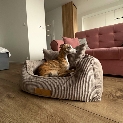 Fotelik samochodowy i legowisko 2w1 dla dużego psa - sztruks beżowy