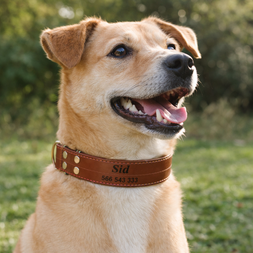 Skórzana obroża z personalizacją CANDY brązowa