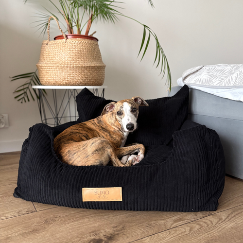 Fotelik samochodowy i legowisko 2w1 dla dużego psa - sztruks czarny