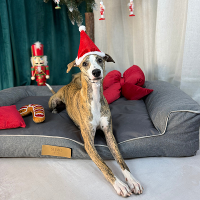 Legowisko dla psa z personalizacją szare + c. szary środek XXL