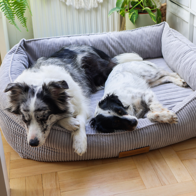 Personalizowane legowisko ortopedyczne dla psa Dogeste XXL szary sztruks
