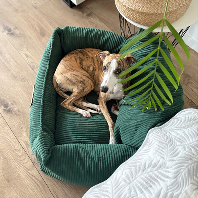 Fotelik samochodowy i legowisko 2w1 dla dużego psa - butelkowa zieleń