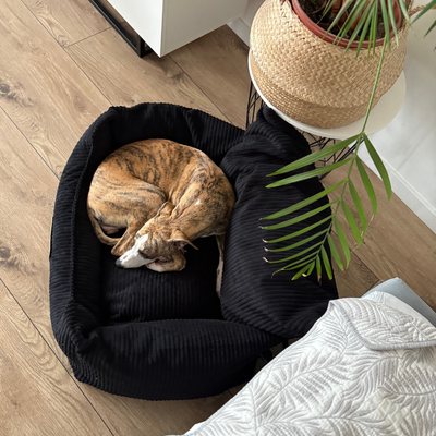 Fotelik samochodowy i legowisko 2w1 dla dużego psa - sztruks czarny