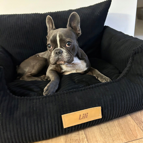 Fotelik samochodowy i legowisko 2w1 dla dużego psa - sztruks czarny