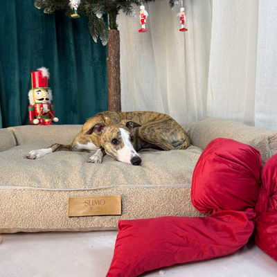 Legowisko dla psa z personalizacją XXL - baranek ciemny beż