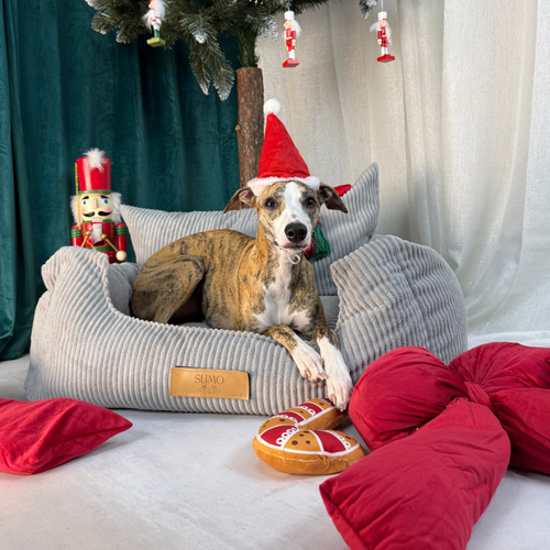 Fotelik samochodowy i legowisko 2w1 dla dużego psa - sztruks szary