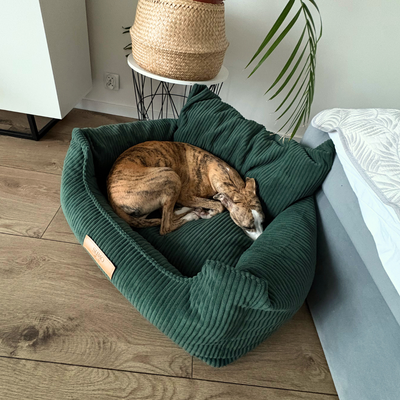 Fotelik samochodowy i legowisko 2w1 dla dużego psa - butelkowa zieleń