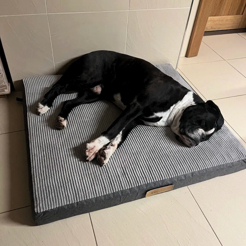 Personalizowany materac ortopedyczny dla psa Dogeste XL szary