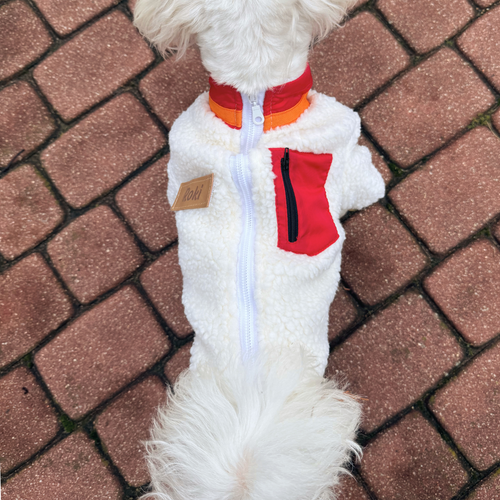 Ubranko kurtka dla psa Baranek czerwony