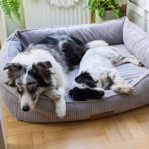 Personalizowane legowisko ortopedyczne dla psa Dogeste XXL szary sztruks