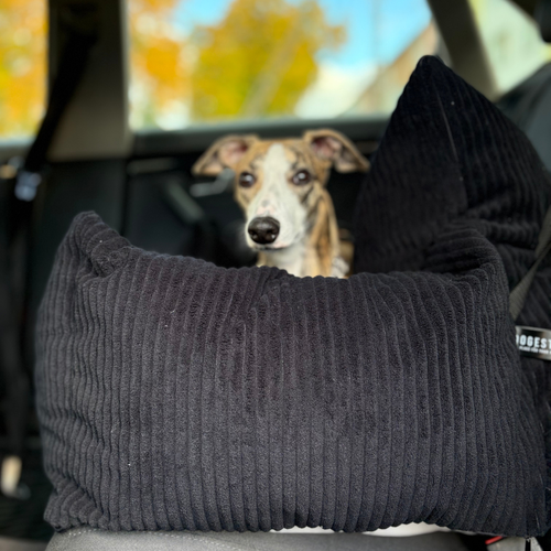 Fotelik samochodowy i legowisko 2w1 dla dużego psa - sztruks czarny