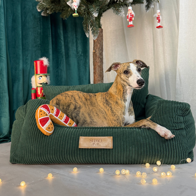 Fotelik samochodowy i legowisko 2w1 dla dużego psa - butelkowa zieleń