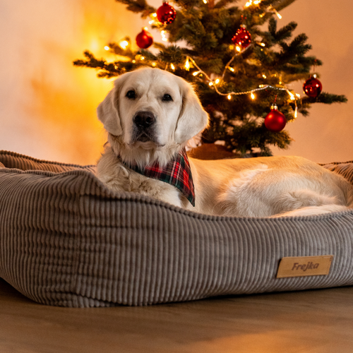 Personalizowane legowisko ortopedyczne dla psa Dogeste XXL beżowy sztruks