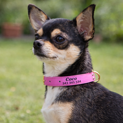 Skórzana obroża z personalizacją CANDY różowa