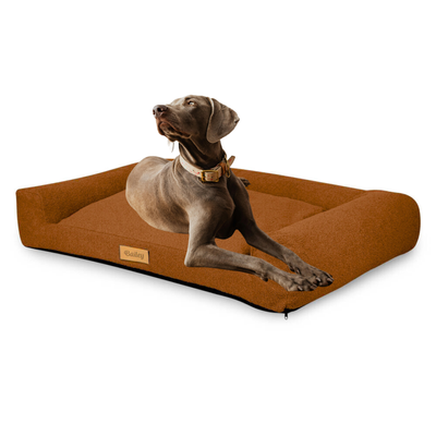 Legowisko dla psa z personalizacją XXL - baranek czekoladowy