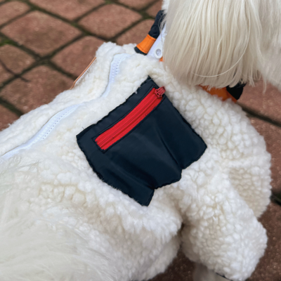 Ubranko kurtka dla psa Baranek niebieski