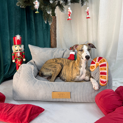 Fotelik samochodowy i legowisko 2w1 dla dużego psa - sztruks szary