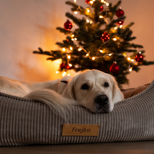 Personalizowane legowisko ortopedyczne dla psa Dogeste XXL beżowy sztruks