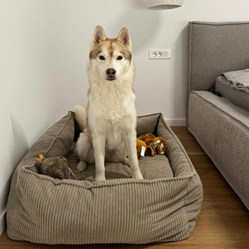 Personalizowane legowisko ortopedyczne dla psa Dogeste XXL beżowy sztruks