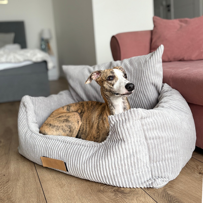 Fotelik samochodowy i legowisko 2w1 dla dużego psa - sztruks szary