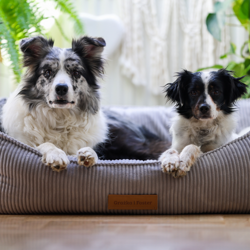 Personalizowane legowisko ortopedyczne dla psa Dogeste XXL szary sztruks
