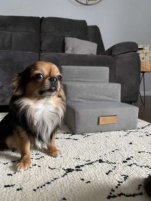 Schodki dla psa/kota 3-stopniowe - brązowy