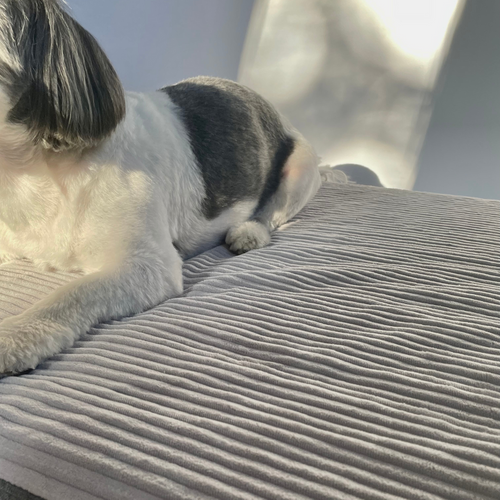 Personalizowany materac ortopedyczny dla psa Dogeste XL szary