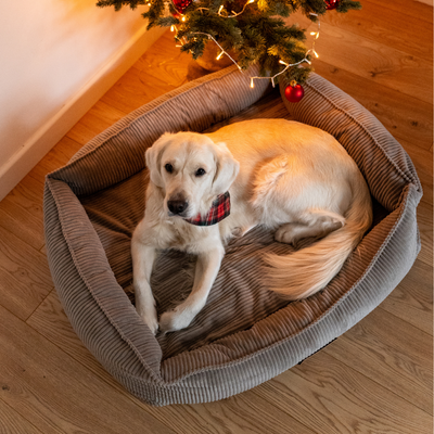 Personalizowane legowisko ortopedyczne dla psa Dogeste XXL beżowy sztruks